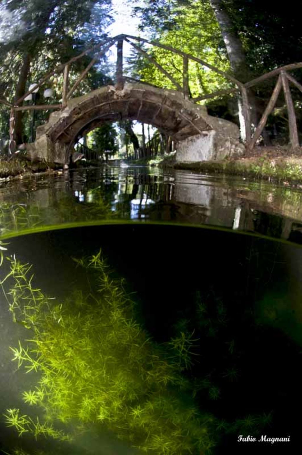 Santa Fiora: un''immersione inusuale....